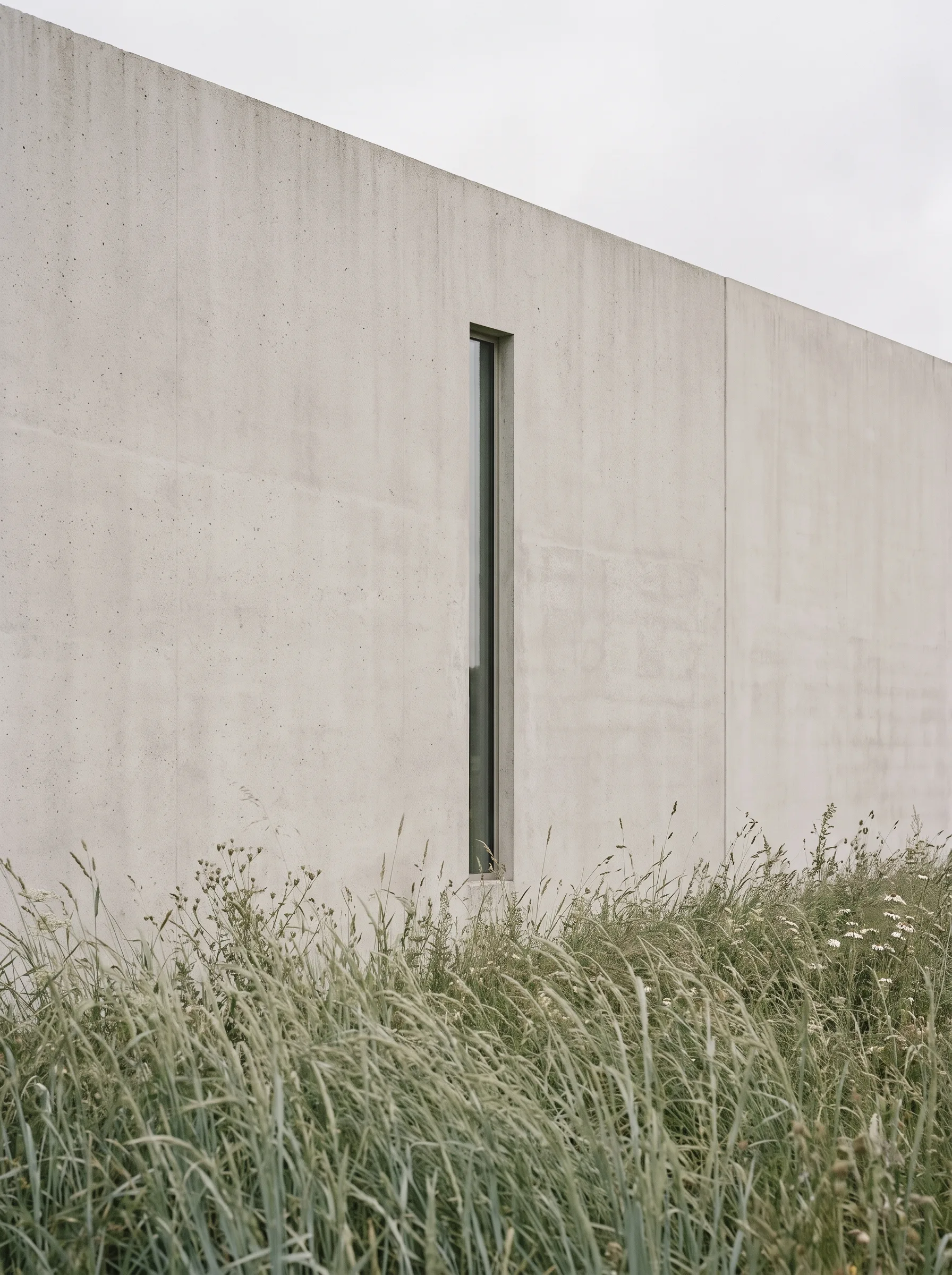Betonnen gevel met hoog gras